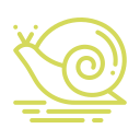 Snail